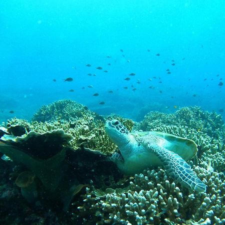 4 Sisters Divers Bunaken Eksteriør billede
