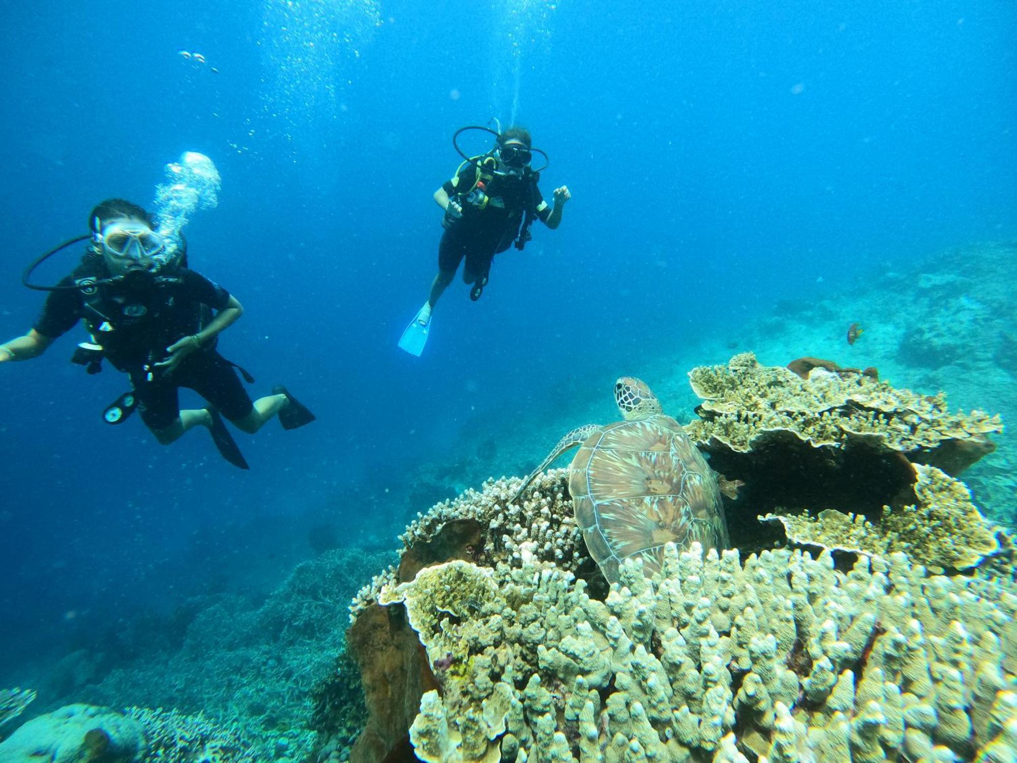 4 Sisters Divers Bunaken Eksteriør billede