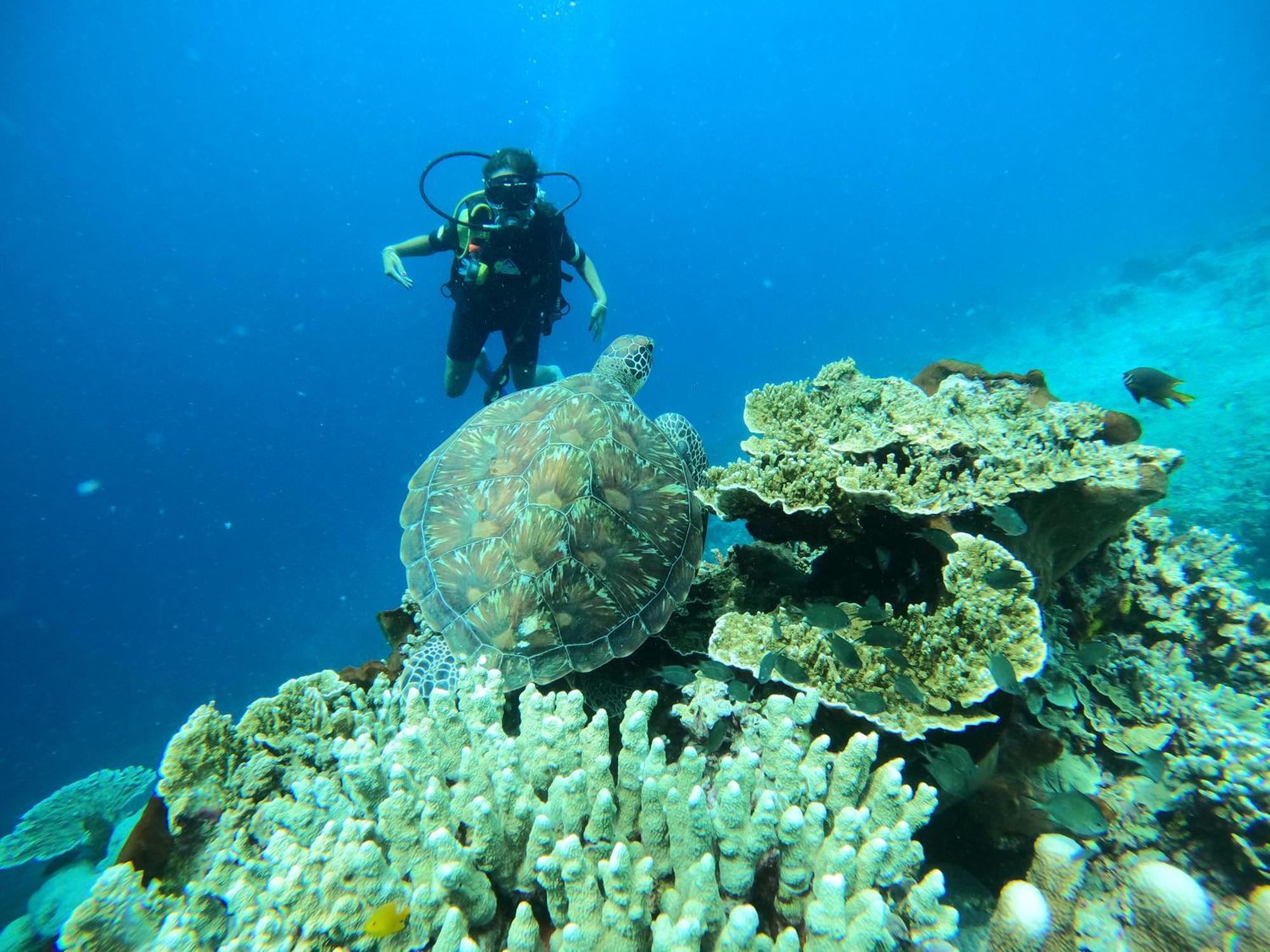 4 Sisters Divers Bunaken Eksteriør billede