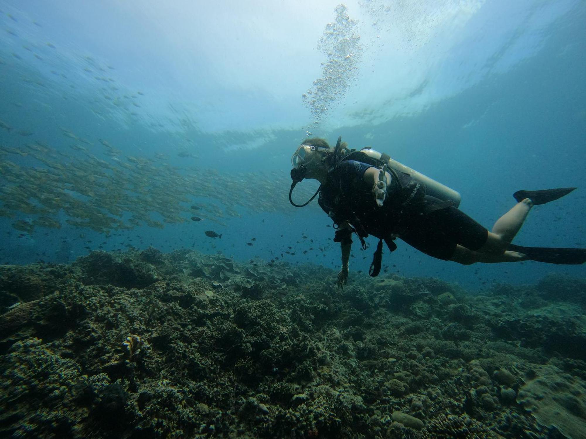 4 Sisters Divers Bunaken Eksteriør billede