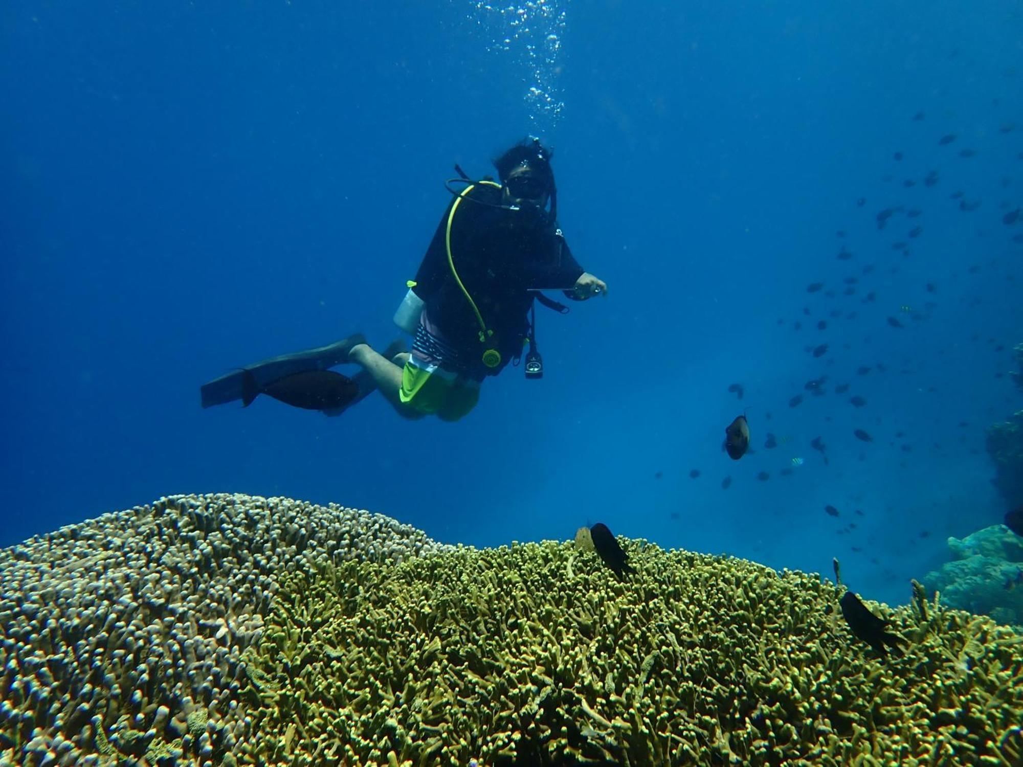 4 Sisters Divers Bunaken Eksteriør billede